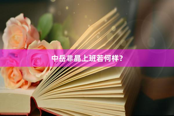 中岳非晶上班若何样？